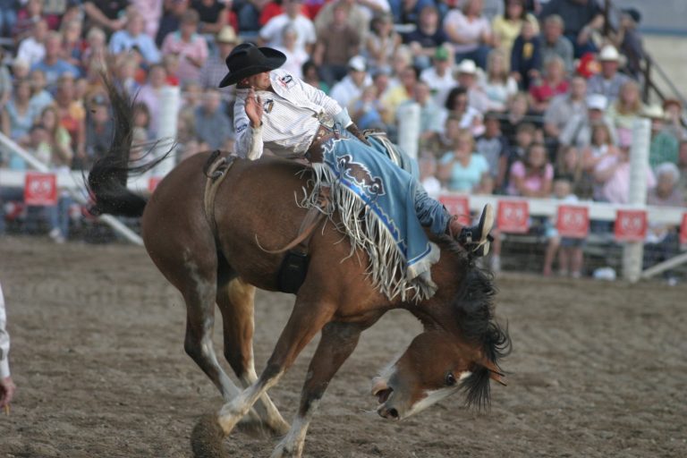 The Best Calgary Stampede Event Roundup - 2018 - Maple Leaf Self Storage